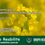 Tratamento para Dependentes Químicos Feminino em Rio do Fogo – RN