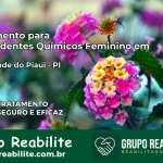 Tratamento para Dependentes Químicos Feminino em Rio Grande do Piauí – PI
