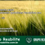 Tratamento para Dependentes Químicos Feminino em Riqueza – SC