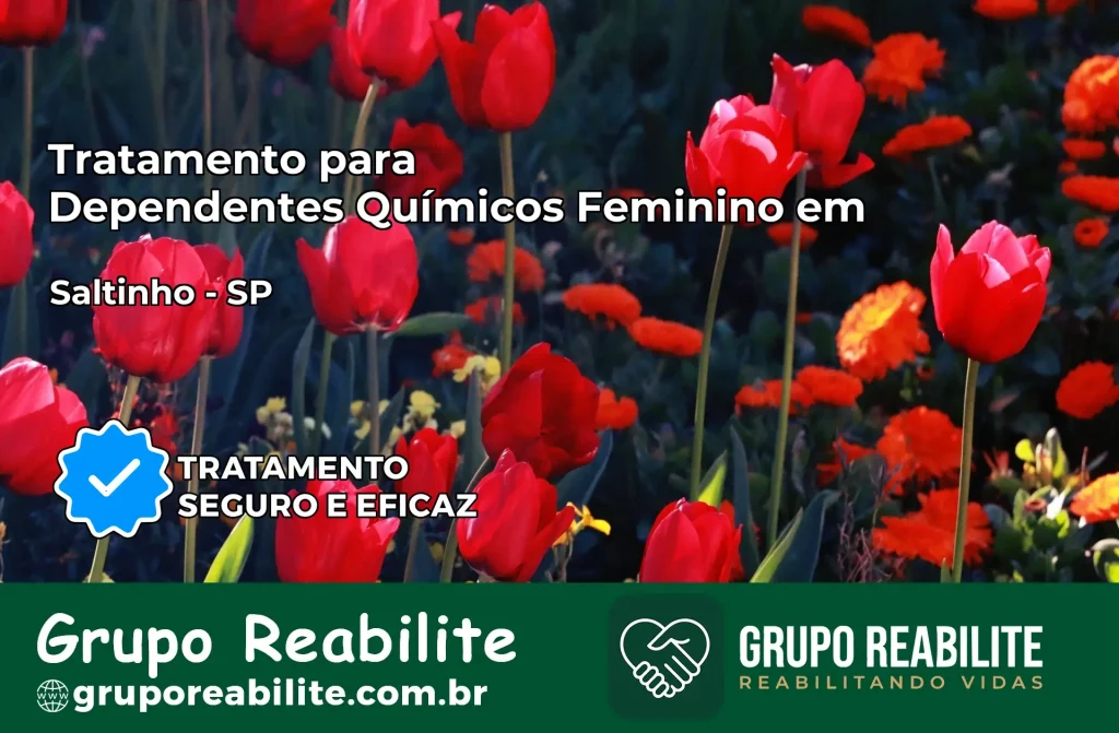 Tratamento para Dependentes Químicos Feminino em Saltinho – SP