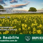 Tratamento para Dependentes Químicos Feminino em Santa Amélia – PR