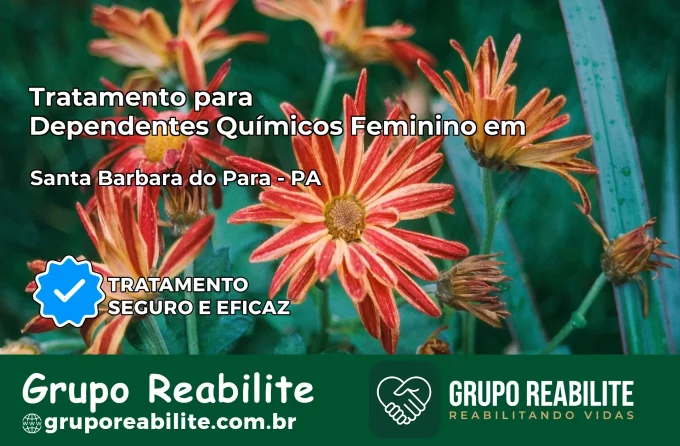 Tratamento para Dependentes Químicos Feminino em Santa Bárbara do Pará – PA