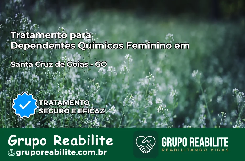 Tratamento para Dependentes Químicos Feminino em Santa Cruz de Goiás – GO
