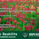 Tratamento para Dependentes Químicos Feminino em Santa Cruz de Minas – MG