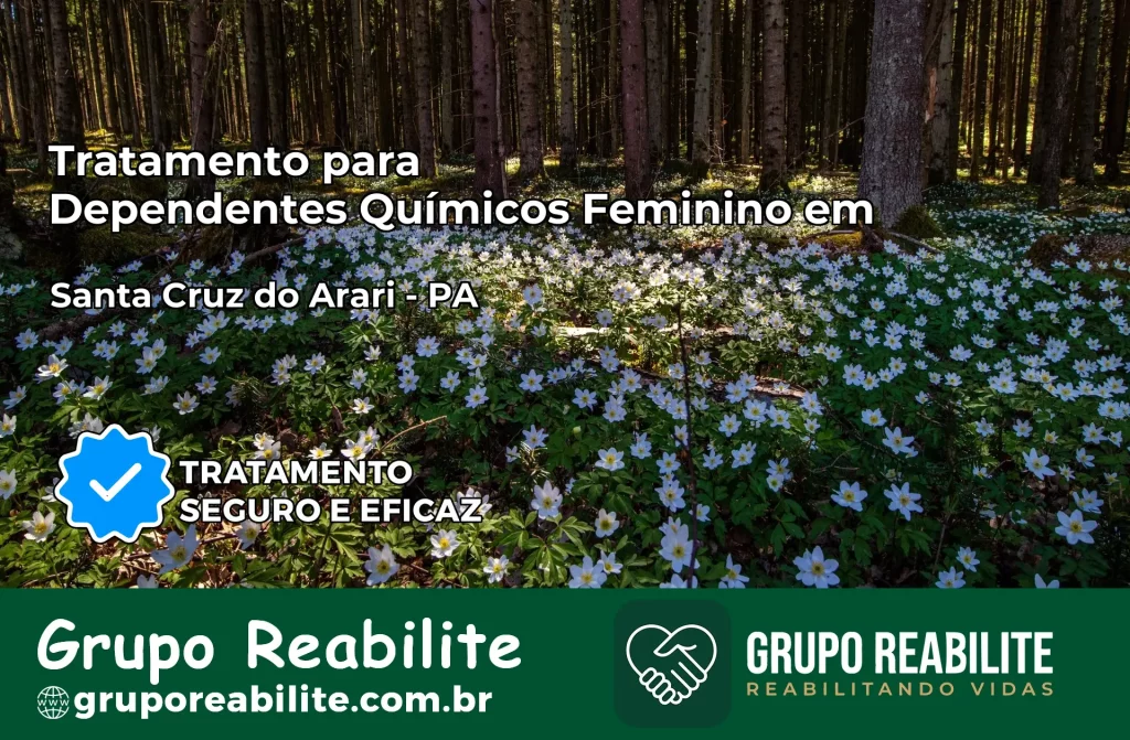 Tratamento para Dependentes Químicos Feminino em Santa Cruz do Arari – PA