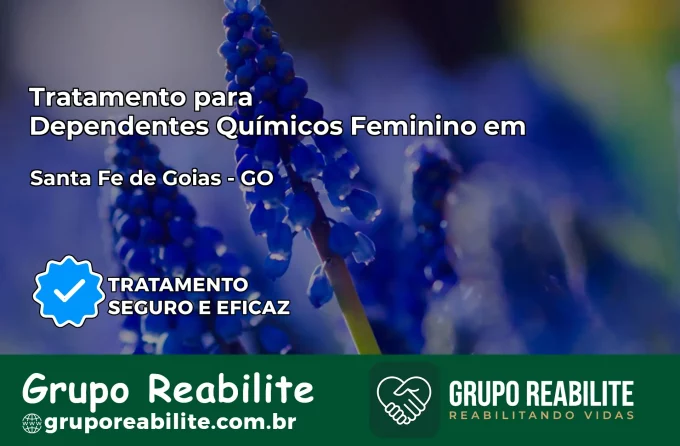 Tratamento para Dependentes Químicos Feminino em Santa Fé de Goiás – GO