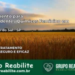 Tratamento para Dependentes Químicos Feminino em Santa Fé do Sul – SP