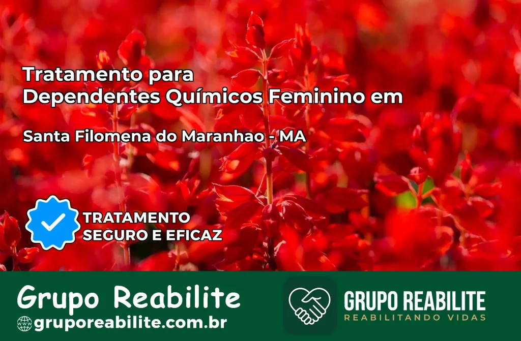 Tratamento para Dependentes Químicos Feminino em Santa Filomena do Maranhão – MA