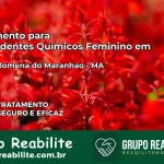 Tratamento para Dependentes Químicos Feminino em Santa Filomena do Maranhão – MA