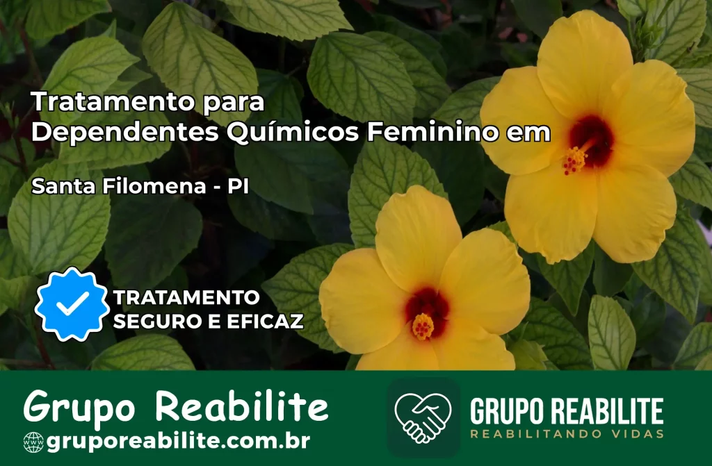 Tratamento para Dependentes Químicos Feminino em Santa Filomena – PI