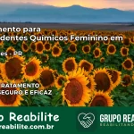 Tratamento para Dependentes Químicos Feminino em Santa Inês – PR