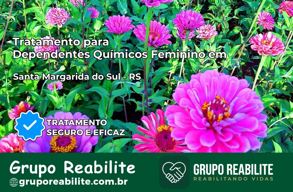 Tratamento para Dependentes Químicos Feminino em Santa Margarida do Sul – RS