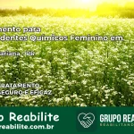 Tratamento para Dependentes Químicos Feminino em Santa Mariana – PR