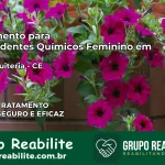Tratamento para Dependentes Químicos Feminino em Santa Quitéria – CE