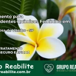 Tratamento para Dependentes Químicos Feminino em Santa Rosa de Viterbo – SP