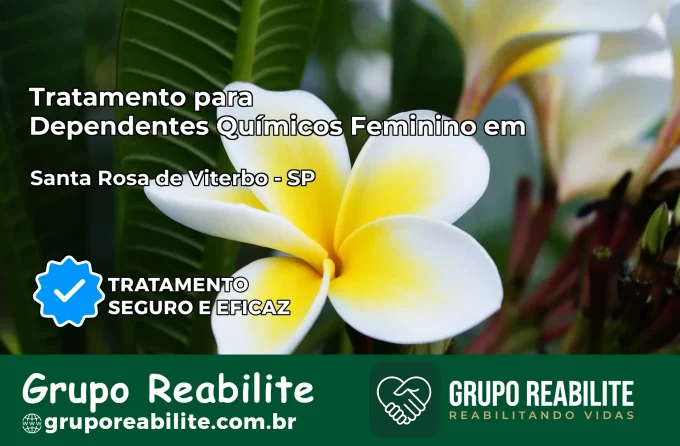 Tratamento para Dependentes Químicos Feminino em Santa Rosa de Viterbo – SP