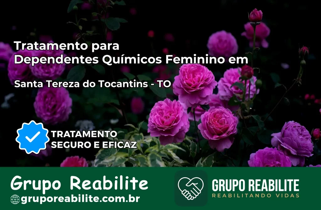 Tratamento para Dependentes Químicos Feminino em Santa Tereza do Tocantins – TO