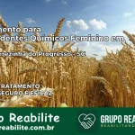 Tratamento para Dependentes Químicos Feminino em Santa Terezinha do Progresso – SC
