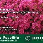 Tratamento para Dependentes Químicos Feminino em Santana da Boa Vista – RS