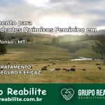 Tratamento para Dependentes Químicos Feminino em Santo Afonso – MT