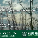Tratamento para Dependentes Químicos Feminino em Santos – SP