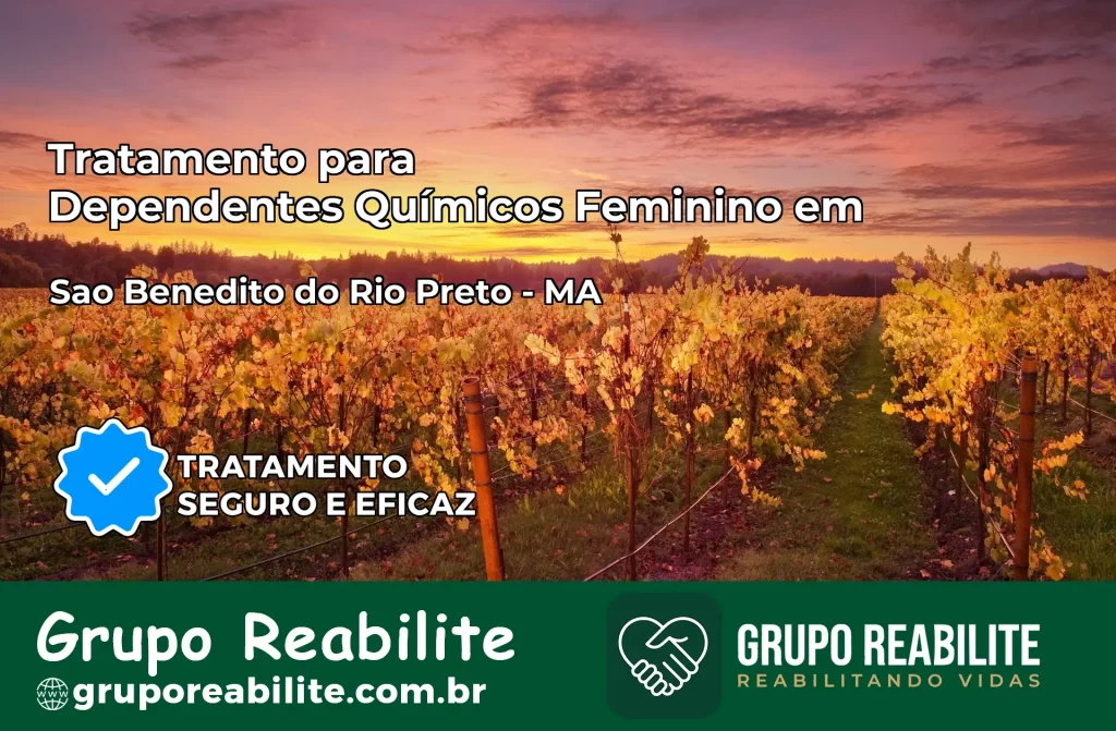 Tratamento para Dependentes Químicos Feminino em São Benedito do Rio Preto – MA