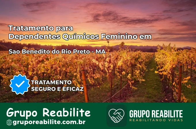 Tratamento para Dependentes Químicos Feminino em São Benedito do Rio Preto – MA