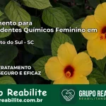 Tratamento para Dependentes Químicos Feminino em São Bento do Sul – SC
