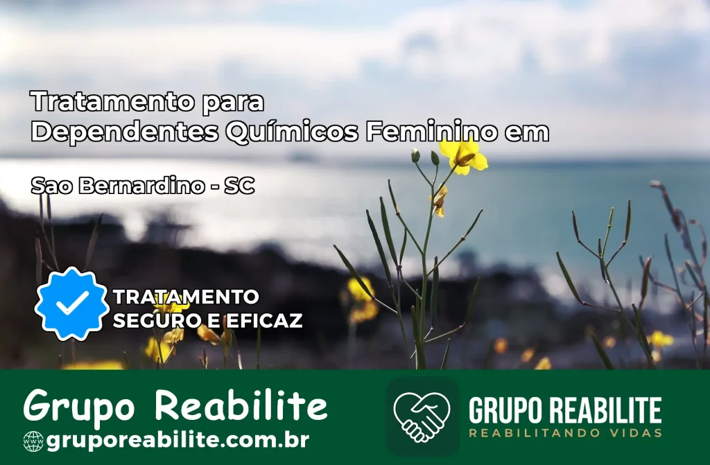 Tratamento para Dependentes Químicos Feminino em São Bernardino – SC