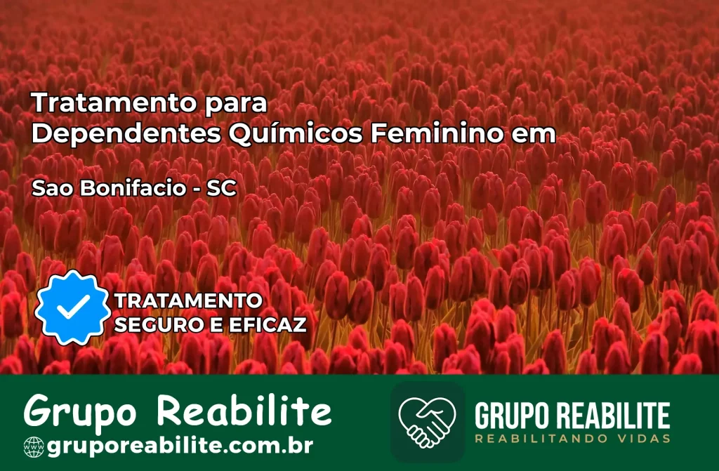 Tratamento para Dependentes Químicos Feminino em São Bonifácio – SC
