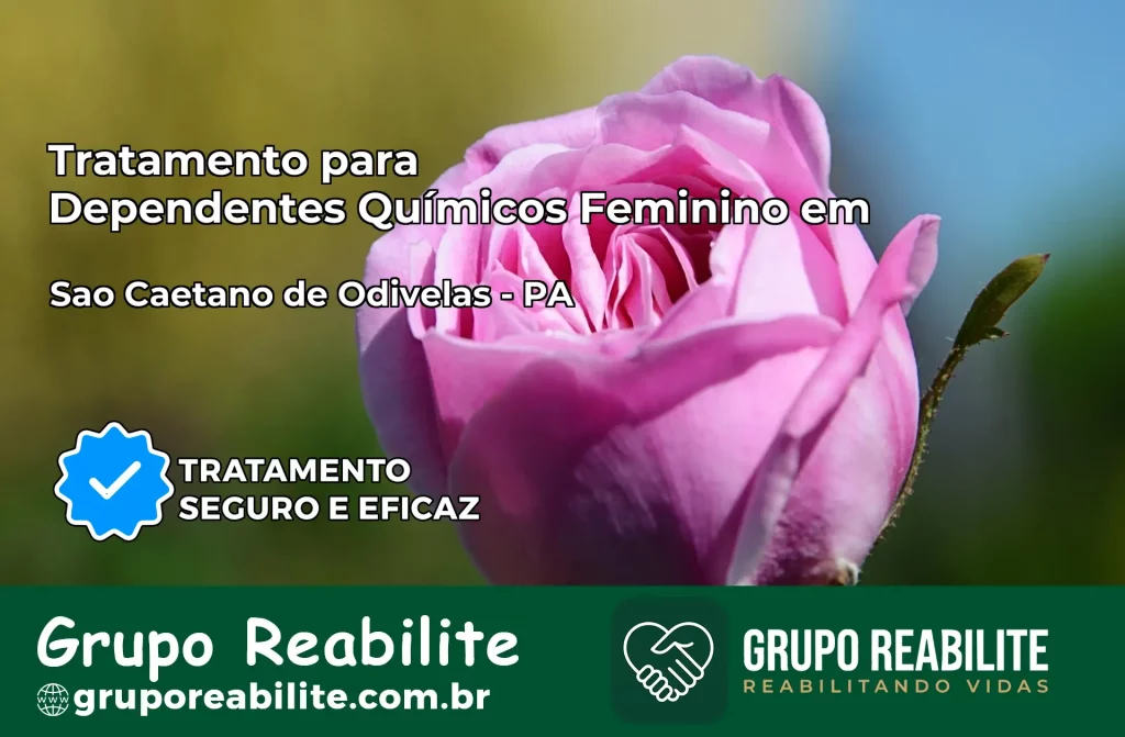 Tratamento para Dependentes Químicos Feminino em São Caetano de Odivelas – PA
