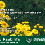 Tratamento para Dependentes Químicos Feminino em São Caetano do Sul – SP