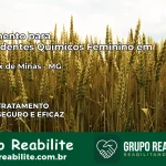 Tratamento para Dependentes Químicos Feminino em São Félix de Minas – MG
