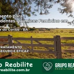 Tratamento para Dependentes Químicos Feminino em São Félix do Coribe – BA