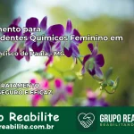 Tratamento para Dependentes Químicos Feminino em São Francisco de Paula – MG