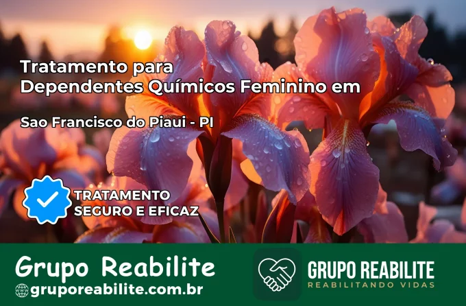 Tratamento para Dependentes Químicos Feminino em São Francisco do Piauí – PI