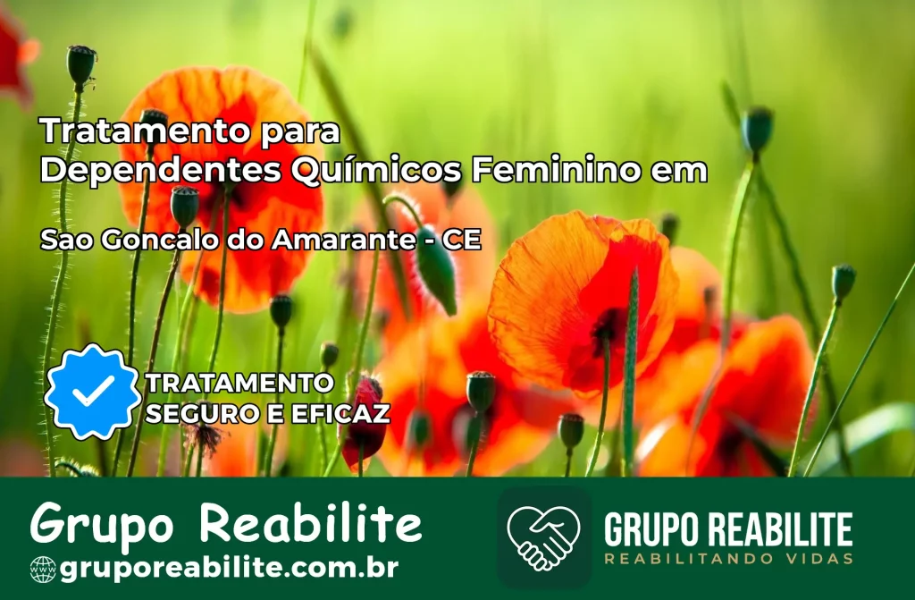Tratamento para Dependentes Químicos Feminino em São Gonçalo do Amarante – CE