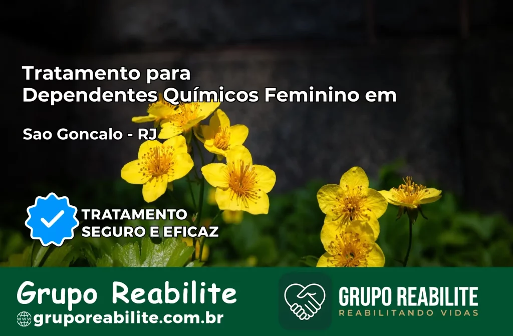 Tratamento para Dependentes Químicos Feminino em São Gonçalo – RJ