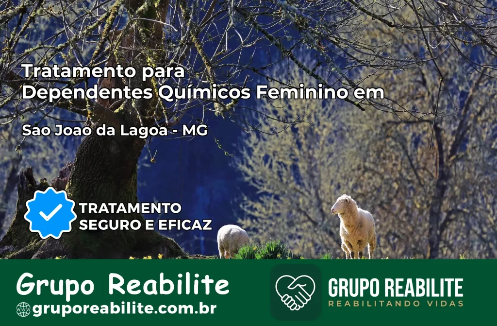 Tratamento para Dependentes Químicos Feminino em São João da Lagoa – MG