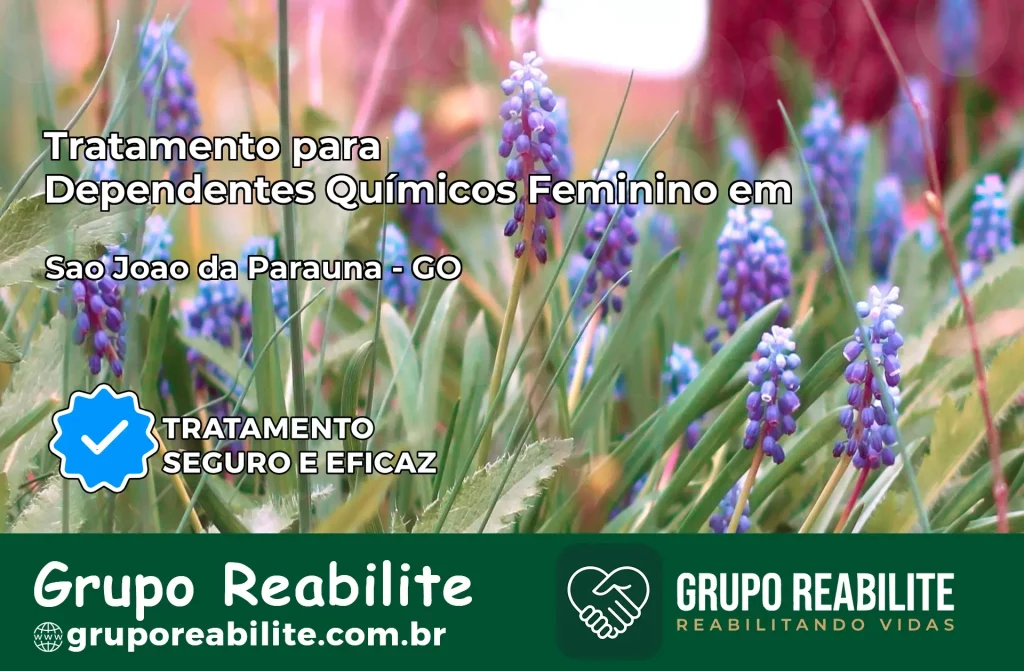 Tratamento para Dependentes Químicos Feminino em São João da Paraúna – GO