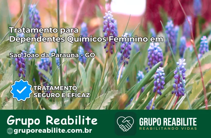 Tratamento para Dependentes Químicos Feminino em São João da Paraúna – GO
