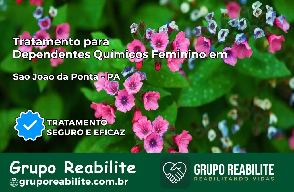 Tratamento para Dependentes Químicos Feminino em São João da Ponta – PA