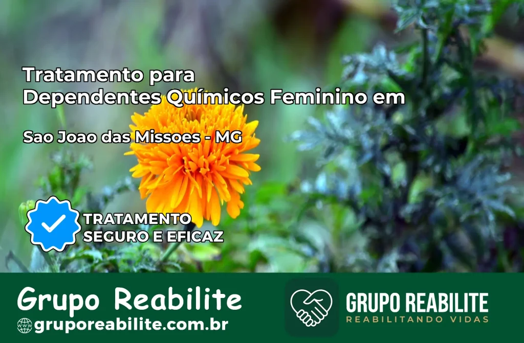 Tratamento para Dependentes Químicos Feminino em São João das Missões – MG