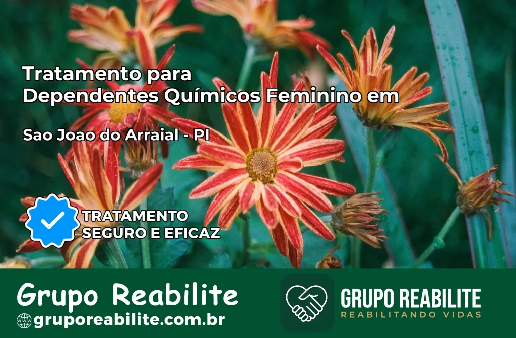 Tratamento para Dependentes Químicos Feminino em São João do Arraial – PI