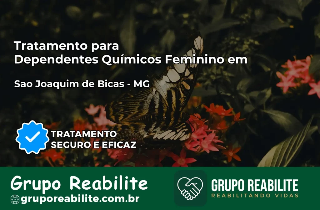 Tratamento para Dependentes Químicos Feminino em São Joaquim de Bicas – MG