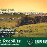 Tratamento para Dependentes Químicos Feminino em São Carlos do Ivaí – PR