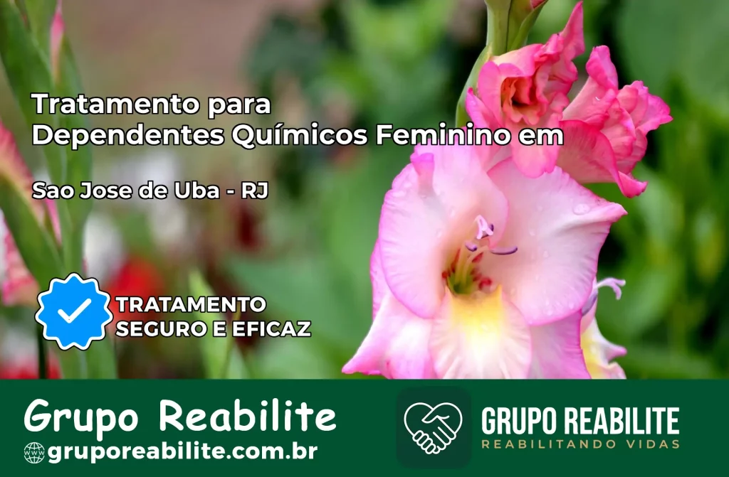 Tratamento para Dependentes Químicos Feminino em São José de Ubá – RJ