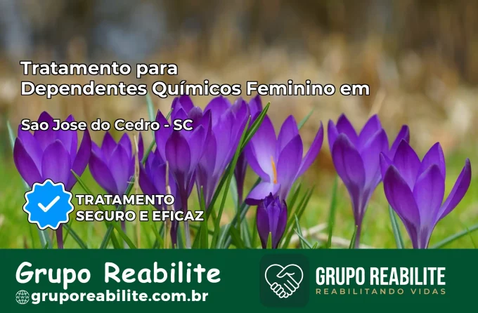 Tratamento para Dependentes Químicos Feminino em São José do Cedro – SC