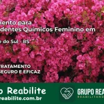 Tratamento para Dependentes Químicos Feminino em São José do Sul – RS