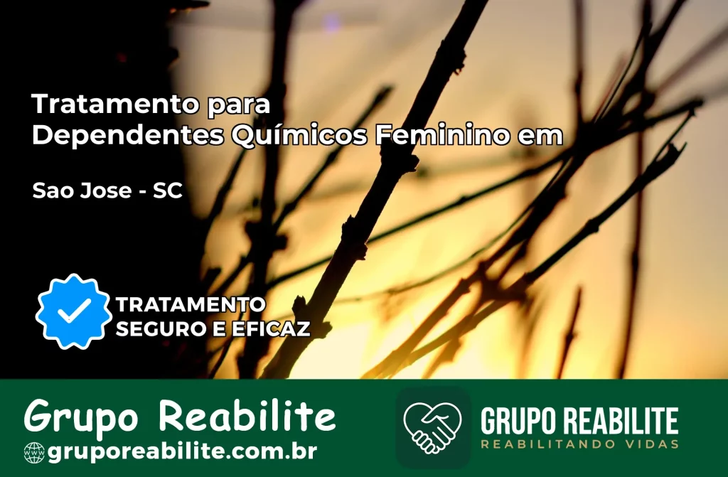Tratamento para Dependentes Químicos Feminino em São José – SC